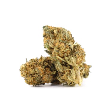 Cheesy Cream 21% THCA