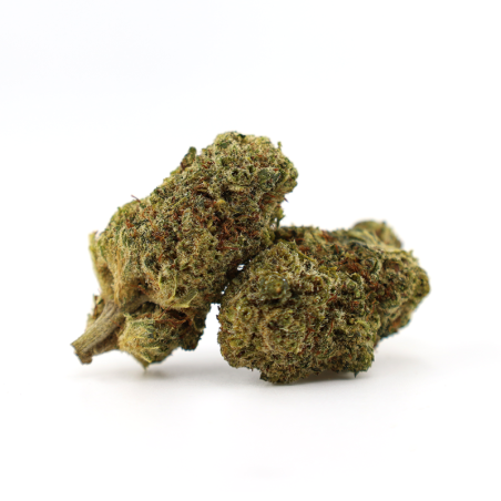 GODZILLA PUNCH 25% FLOARE THCA