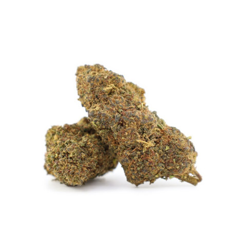 GRAPE & CREAM 35% THCA FLOARE