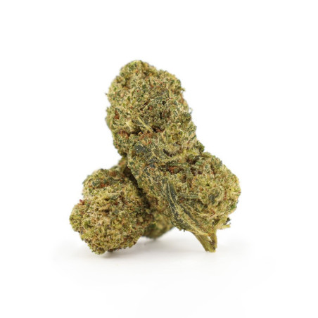 FLYING DUTCHMAN 25% FLOARE THCA