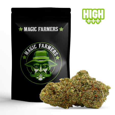 BLUE MANGO 30% FLOARE 10-OH-HHC