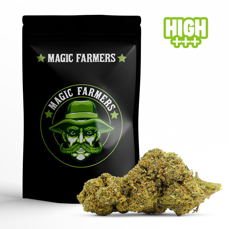 EARLY GIRL 30% FLOARE 10-OH-HHC