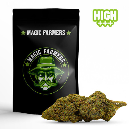 CASPER 30% FLOARE 10-OH-HHC