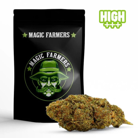 MIMOSA 30% FLOARE 10-OH-HHC