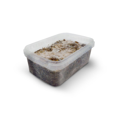 MEXICAN MYCELIUM KIT DE... - alt