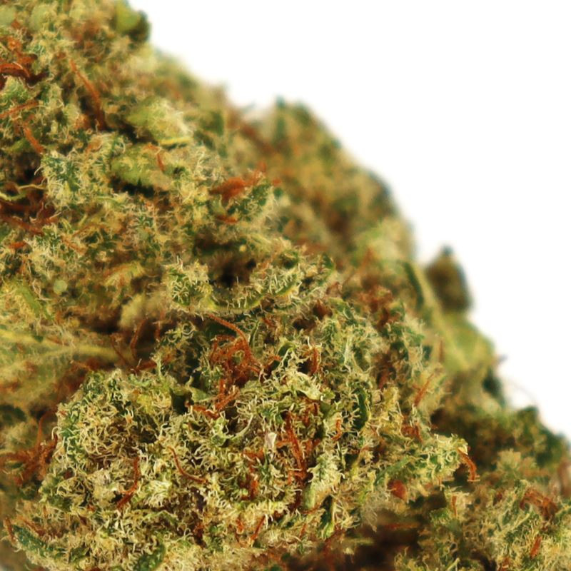 LONG ISLAND CBD FLOARE COOKIES