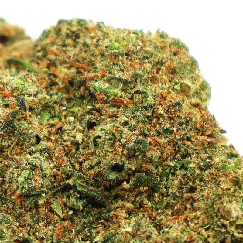 TEQUILA SUNRISE CBD FLOARE COOKIES