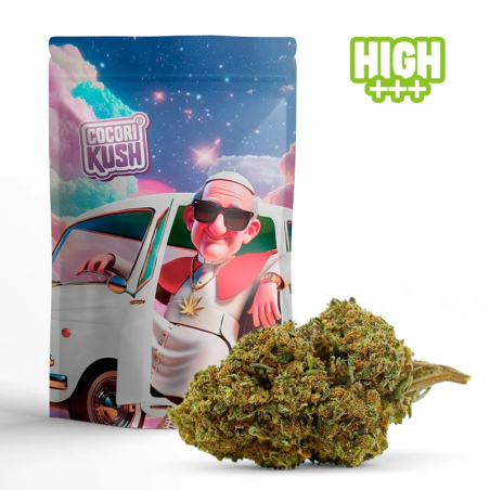 POPE DADDY FLOARE HEC-10