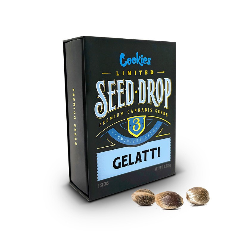 GELATTI THC SEMINȚE COOKIES