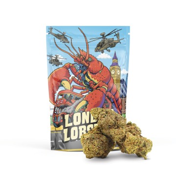 Floare London Lobster 50%...