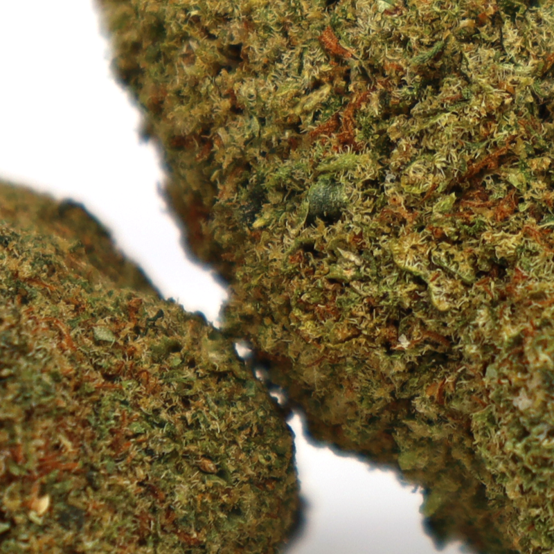 ADIOS MOTHER F*CKER! CBD FLOARE COOKIES