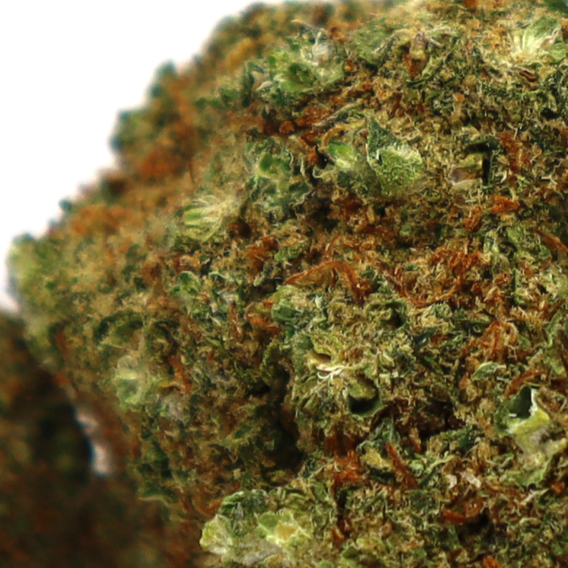 TRIPLE SCOOP CBD FLOARE COOKIES