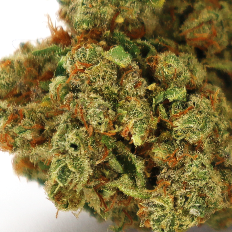 HAWAIIAN RAIN CBD FLOARE COOKIES