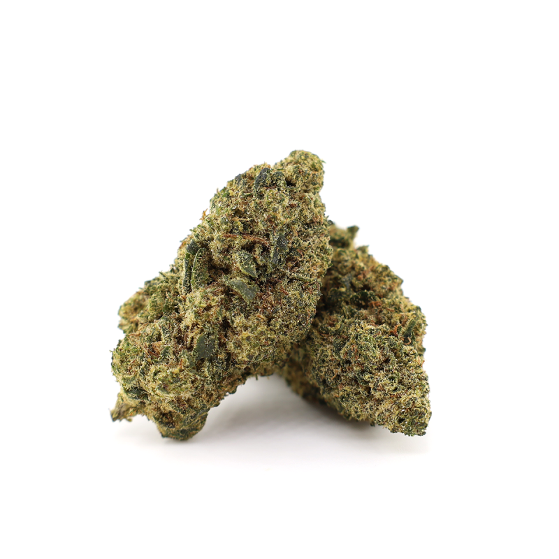 TINKY WINKY 50% MAGIC SAUCE FLOARE