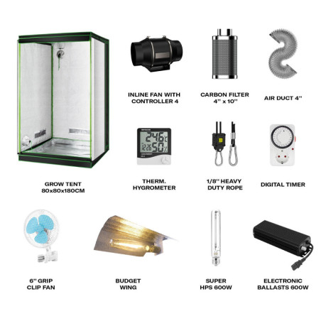 FLEXSTAR BUDGET WING KIT DE... - alt