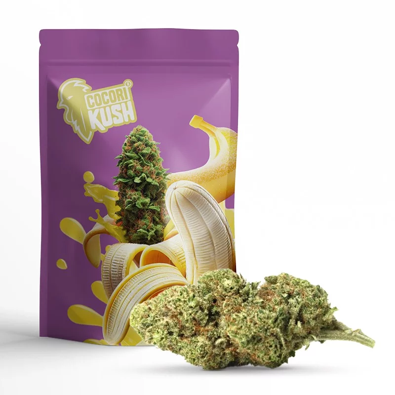 BANANA KUSH FLOARE COCORIKUSH CBD