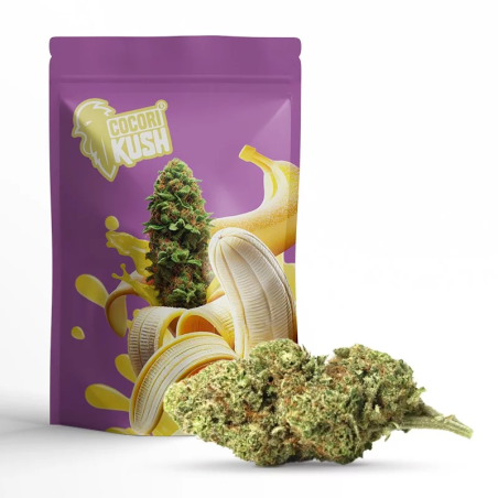 BANANA KUSH FLOARE COCORIKUSH CBD