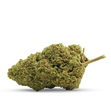 COCO BONGO COCORIKUSH CBD... - alt