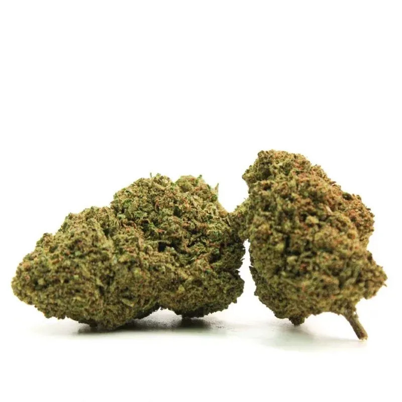 COCO BONGO COCORIKUSH CBD FLOARE