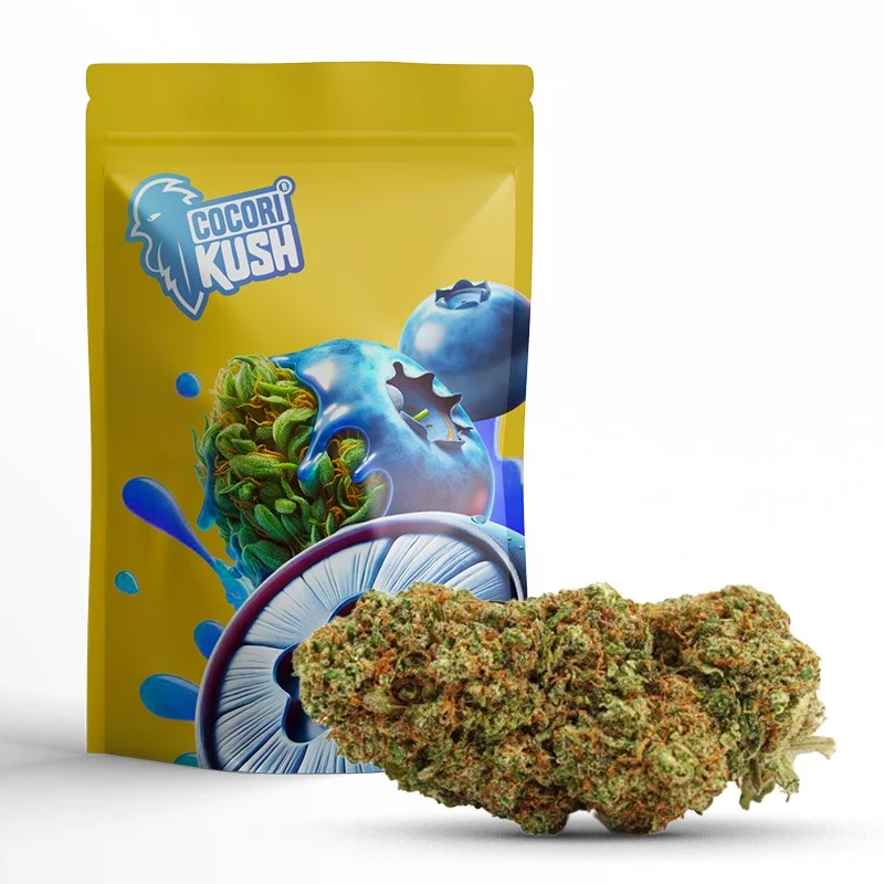 BLUEBERRY MUFFIN COCORIKUSH CBD