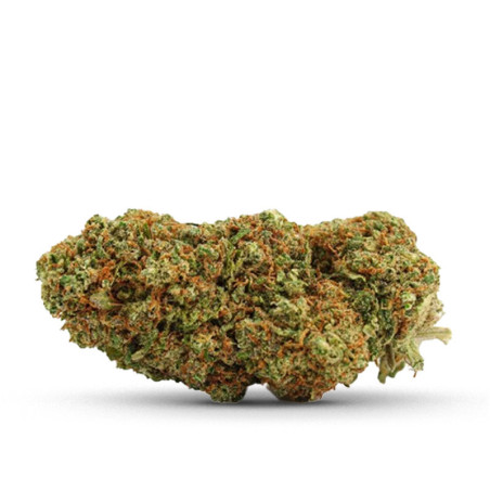 BLUEBERRY MUFFIN COCORIKUSH... - alt