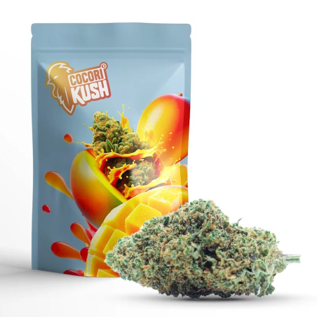 CBD COCORIKUSH FLOARE GELATO