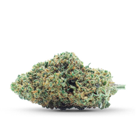 CBD COCORIKUSH FLOARE GELATO - alt