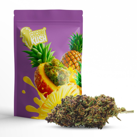 PURPLE PUNCH COCORIKUSH CBD