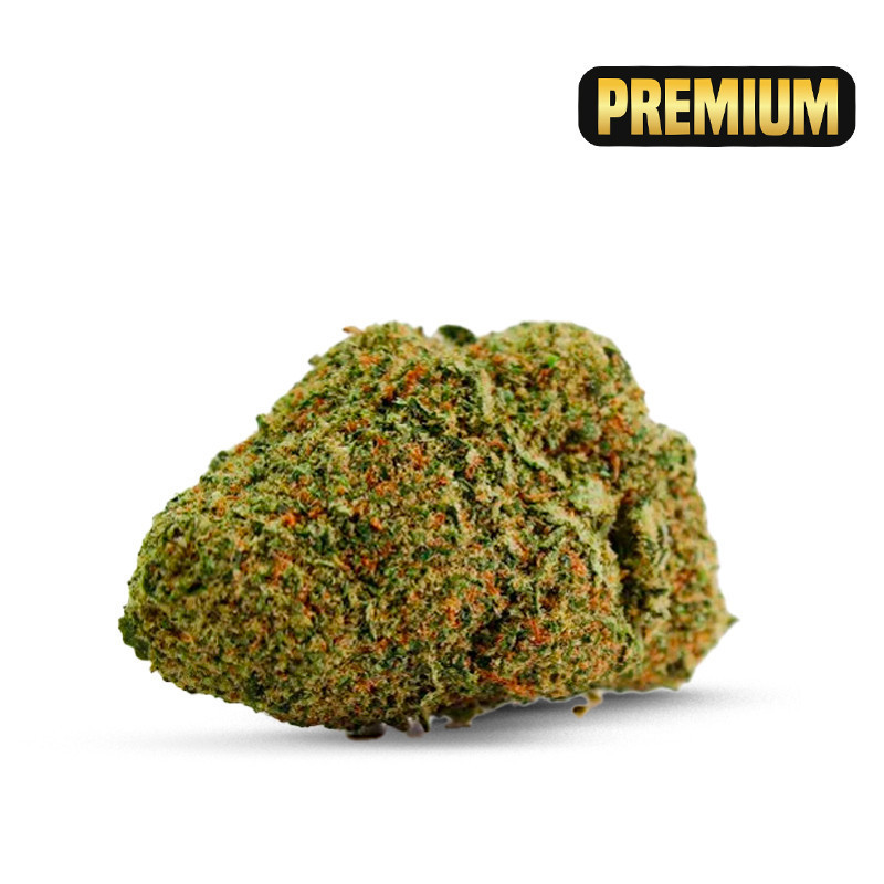 X-HAZE COCORIKUSH CBD FLOARE