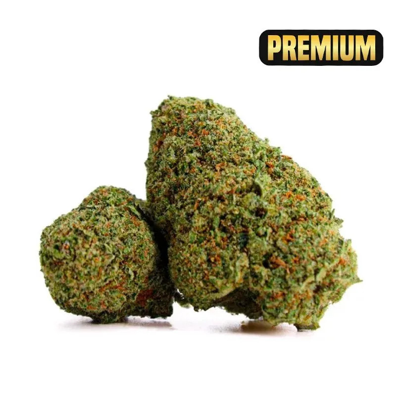 X-HAZE COCORIKUSH CBD FLOARE