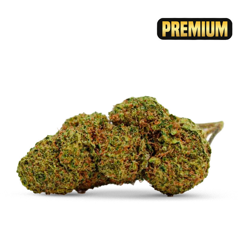 NORTH THUNDERFUCK FLOARE COCORIKUSH CBD