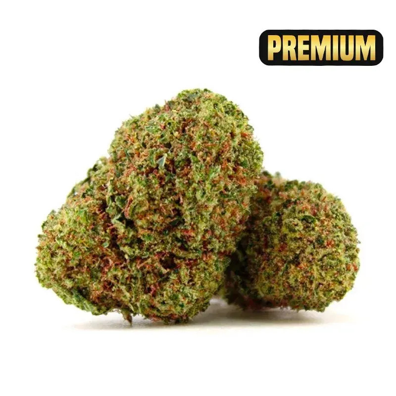 NORTH THUNDERFUCK FLOARE COCORIKUSH CBD