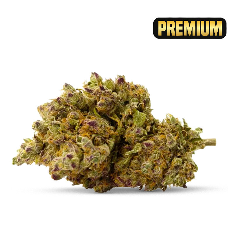 ROYAL GORILLA CBD FLOARE COCORIKUSH