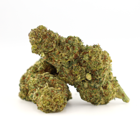 OCEAN BEACH FLOARE COOKIES - alt