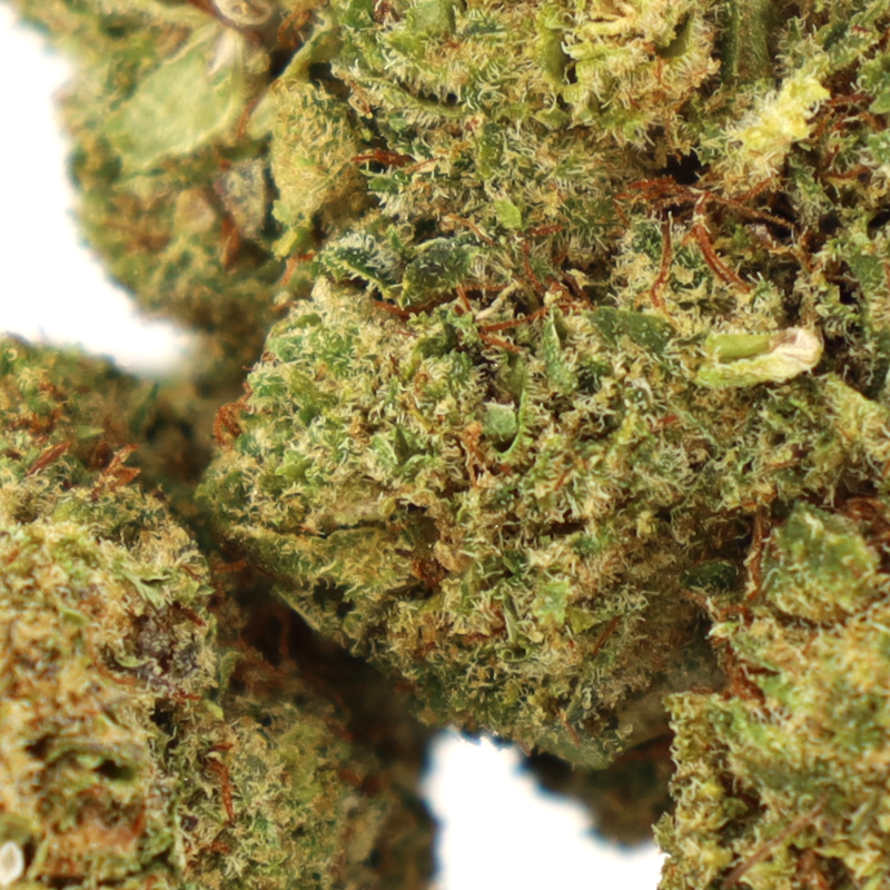 HONEY BUN FLOARE COOKIES