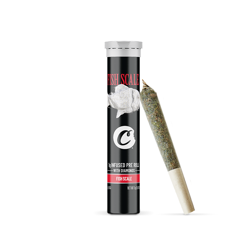 FISH SCALE PRE-RULAT COOKIES