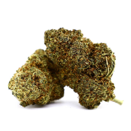 CHEETAH PISS FLOARE COOKIES - alt