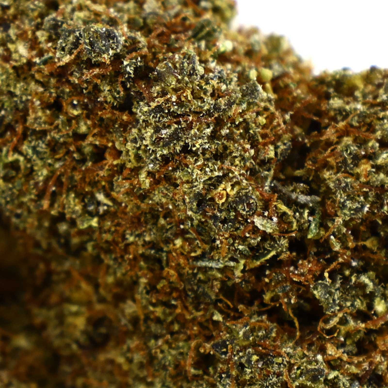 CHEETAH PISS FLOARE COOKIES