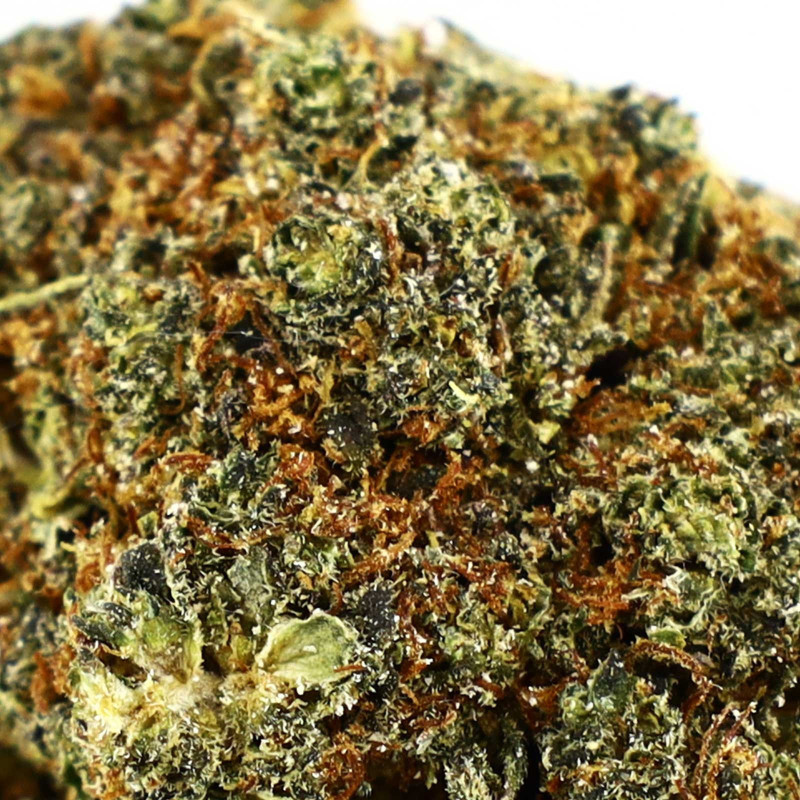 BERRY PIE FLOARE COOKIES