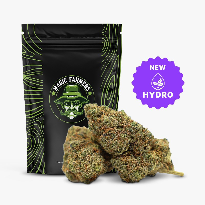 KING LOUIS 37% FLOARE THCA