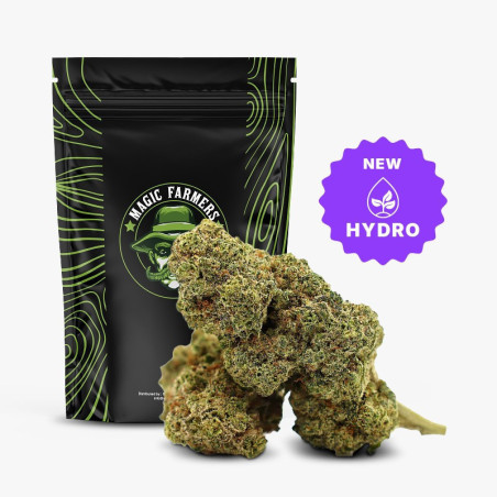 GAZ CANDY 36% FLOARE THCA