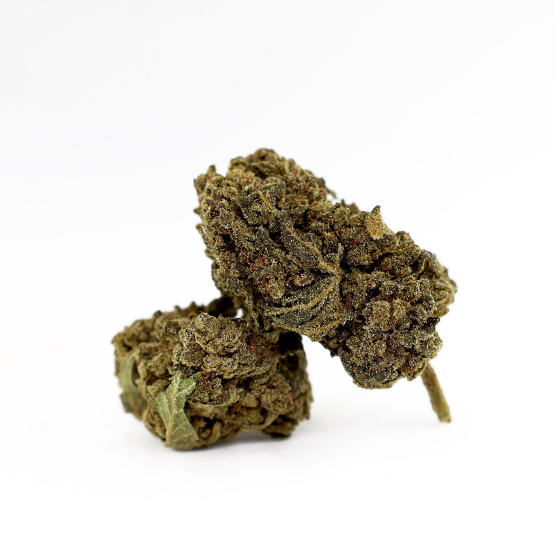 DONNY BURGER 50% MAGIC SAUCE FLOARE