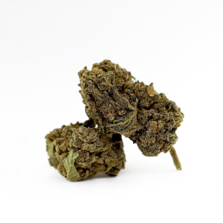 DONNY BURGER 50% MAGIC SAUCE FLOARE