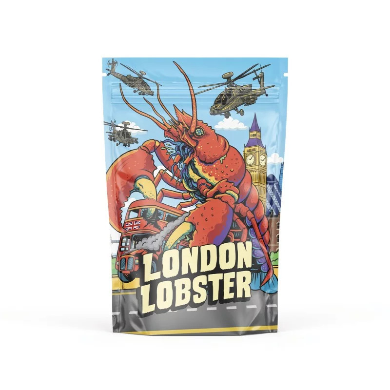 LONDON LOBSTER 50% MAGIC SAUCE FLOARE