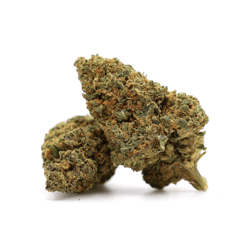 GELATO 41 40% FLOARE THCA