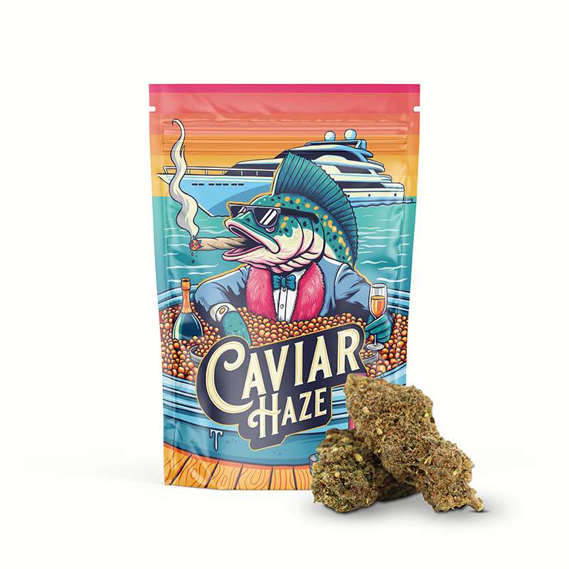 CAVIAR HAZE 50% MAGIC SAUCE FLOARE
