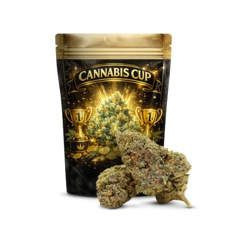 GELATO 41 40% FLOARE THCA