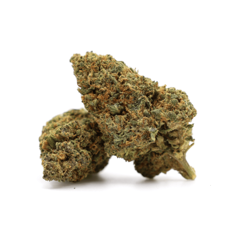 GELATO 41 40% FLOARE THCA - alt