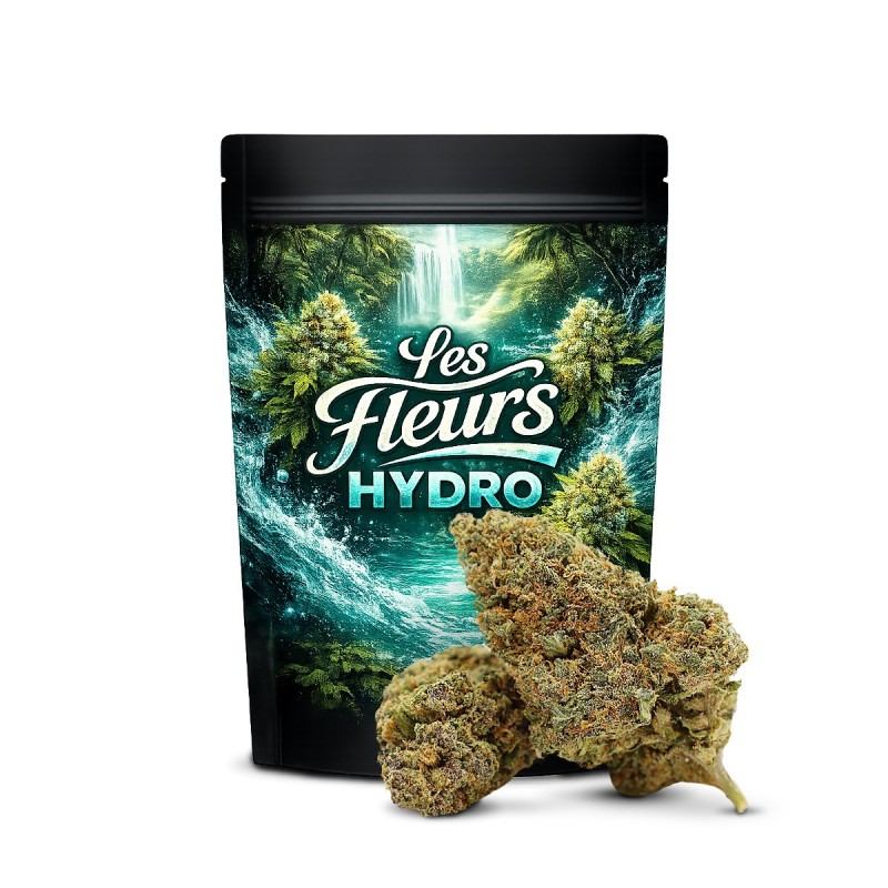 KING LOUIS 37% FLOARE THCA