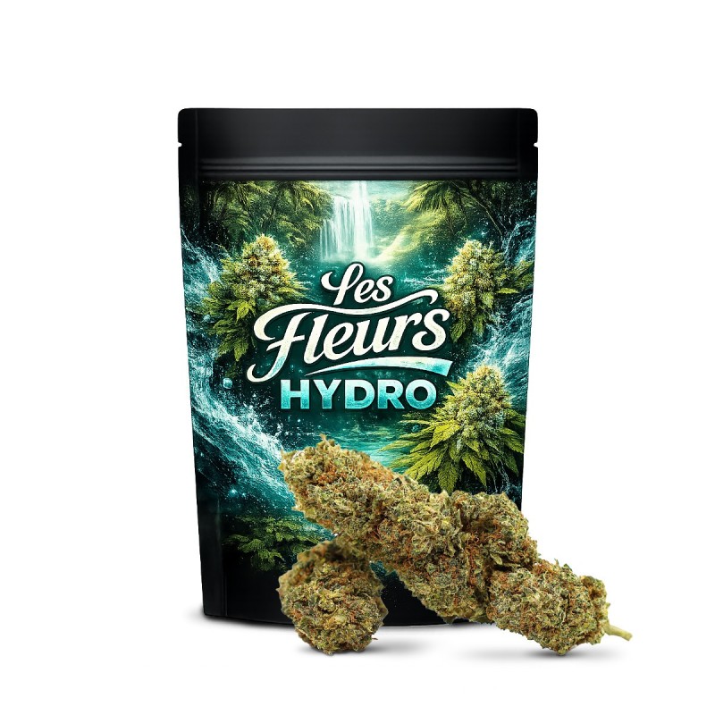 JEALOUSY 35% FLORI THCA
